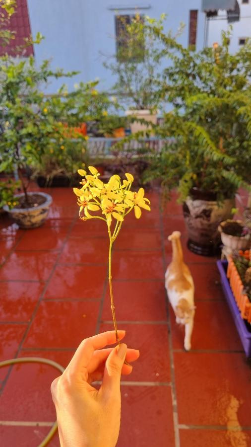 Daisy'S Stay Hanoi Kültér fotó